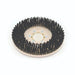 Black nylon bristles of the Clarke 10875A disc brush