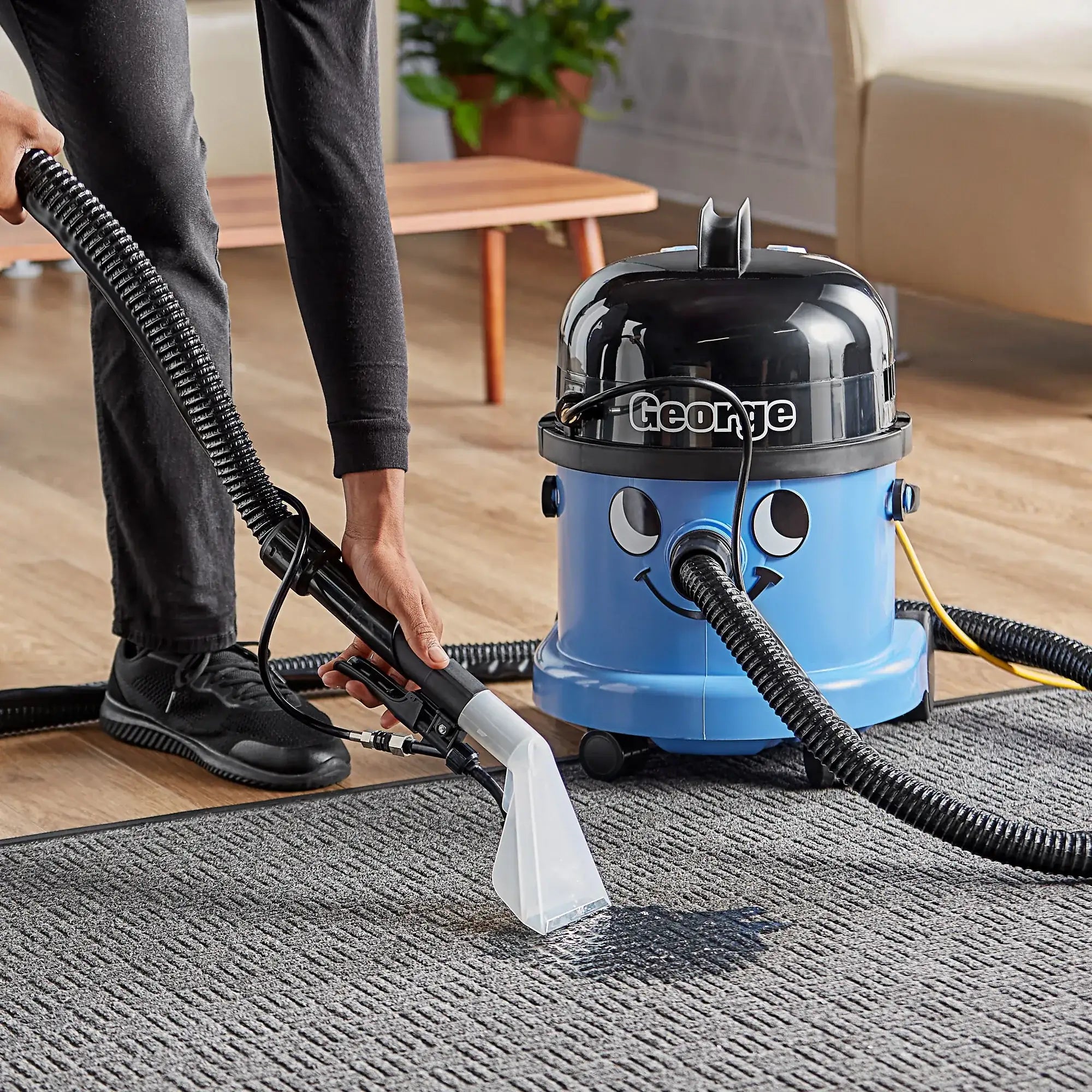Spot cleaning a carpet with the George's 4-inch upholstery tool