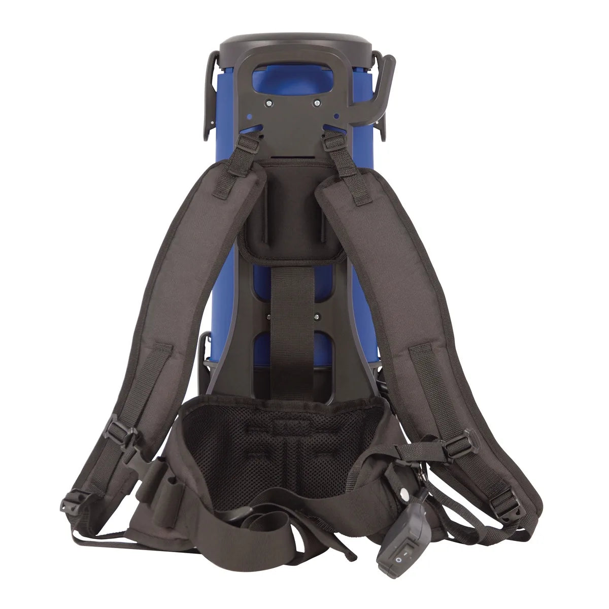 Rear view of the Pro-Lite BP4S harness with foam shoulder straps and hip belt
